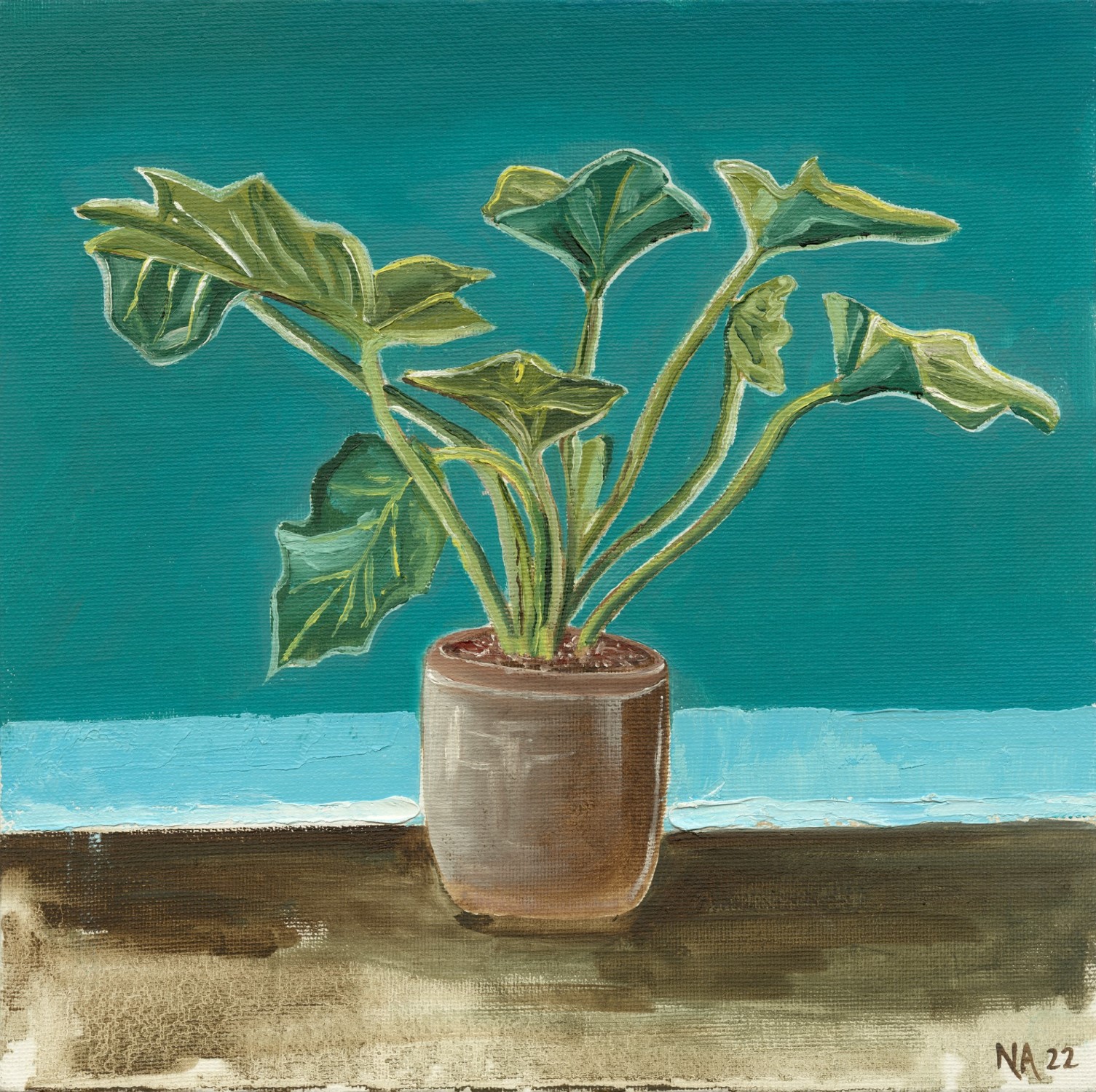 Monstera